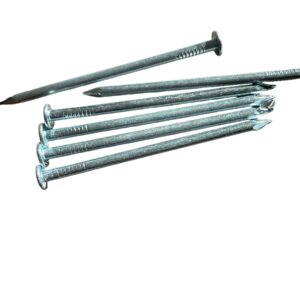 Z19 Draadnagel 30 x 65 mm 6 stuks