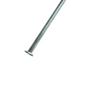 Z20 Draadnagel 5 x 100 mm 1 stuks